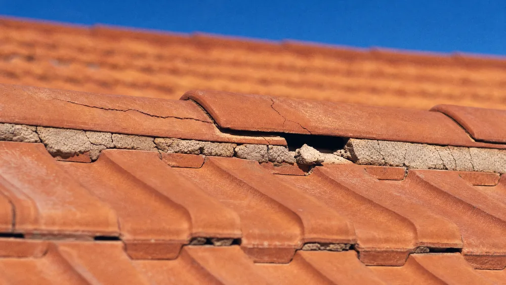 Close view of cracked ridge capping mortar on a tile roof, hairline cracks running the length of the cap