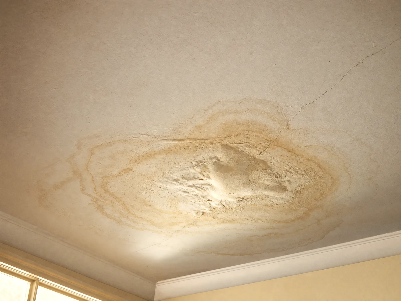Water stain spreading in tide marks across a white plasterboard ceiling, the plaster sagging at its centre